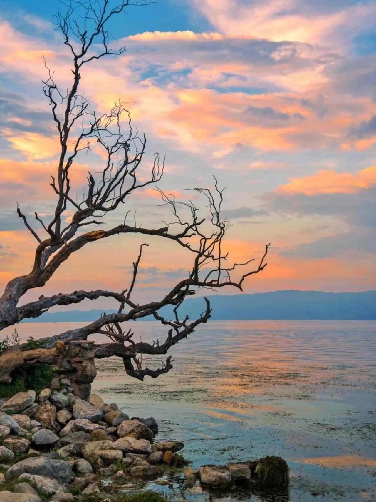 Dali Nest Secret Garden Lake View Inn Kültér fotó